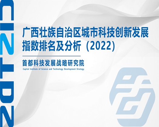 大黑吊插逼免费视频【成果发布】广西壮族自治区城市科技创新发展指数排名及分析（2022）